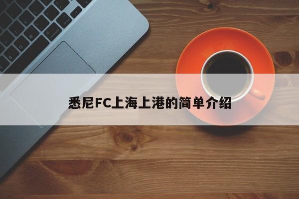 悉尼FC上海上港的简单介绍