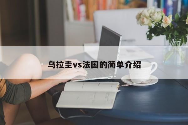 乌拉圭vs法国的简单介绍